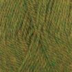 Nepal - 7238 - olive.jpg